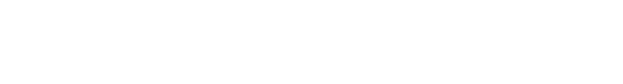 Triple Whale partner