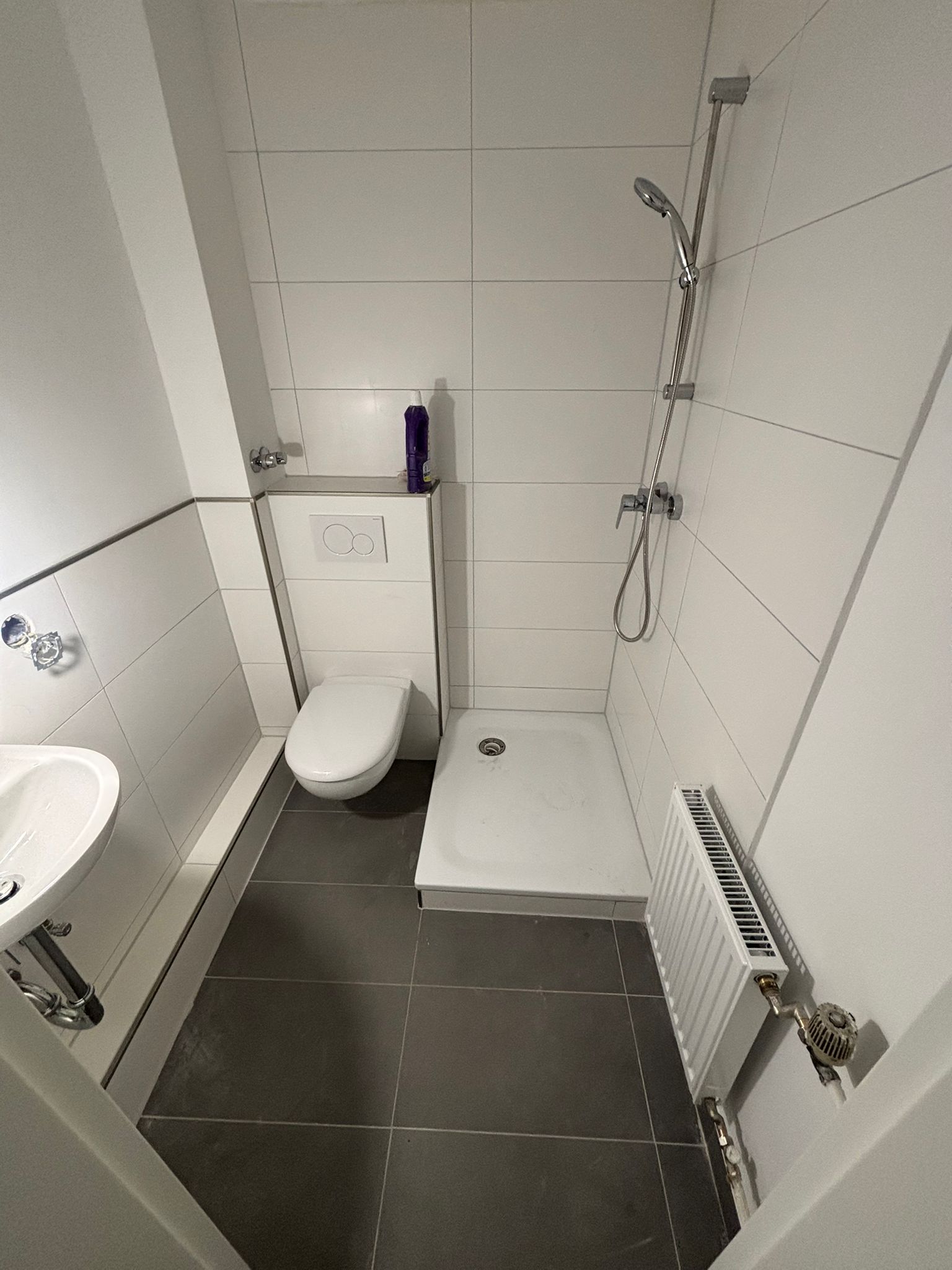 Badsanierung in kleinem Bad mit neuer Dusche, WC, hellen Fliesen und moderner Ausstattung