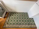 Verlegte Zementfliesen mit grünem Muster und Bordüre im Altbau