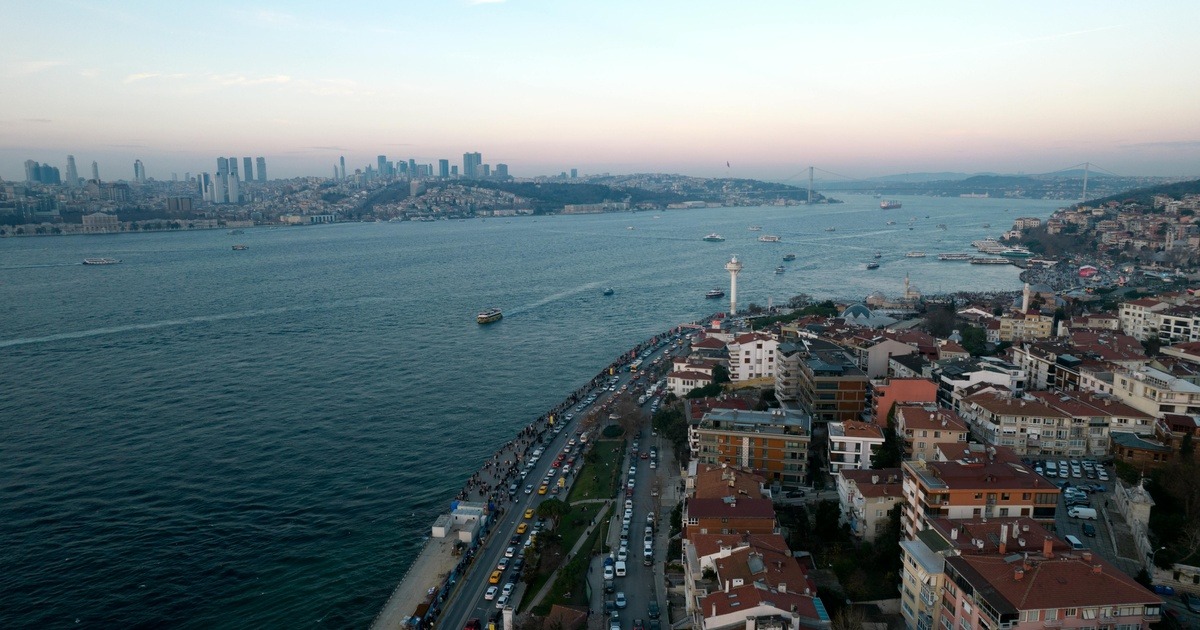 Source: https://www.pexels.com/uk-ua/photo/19797674/