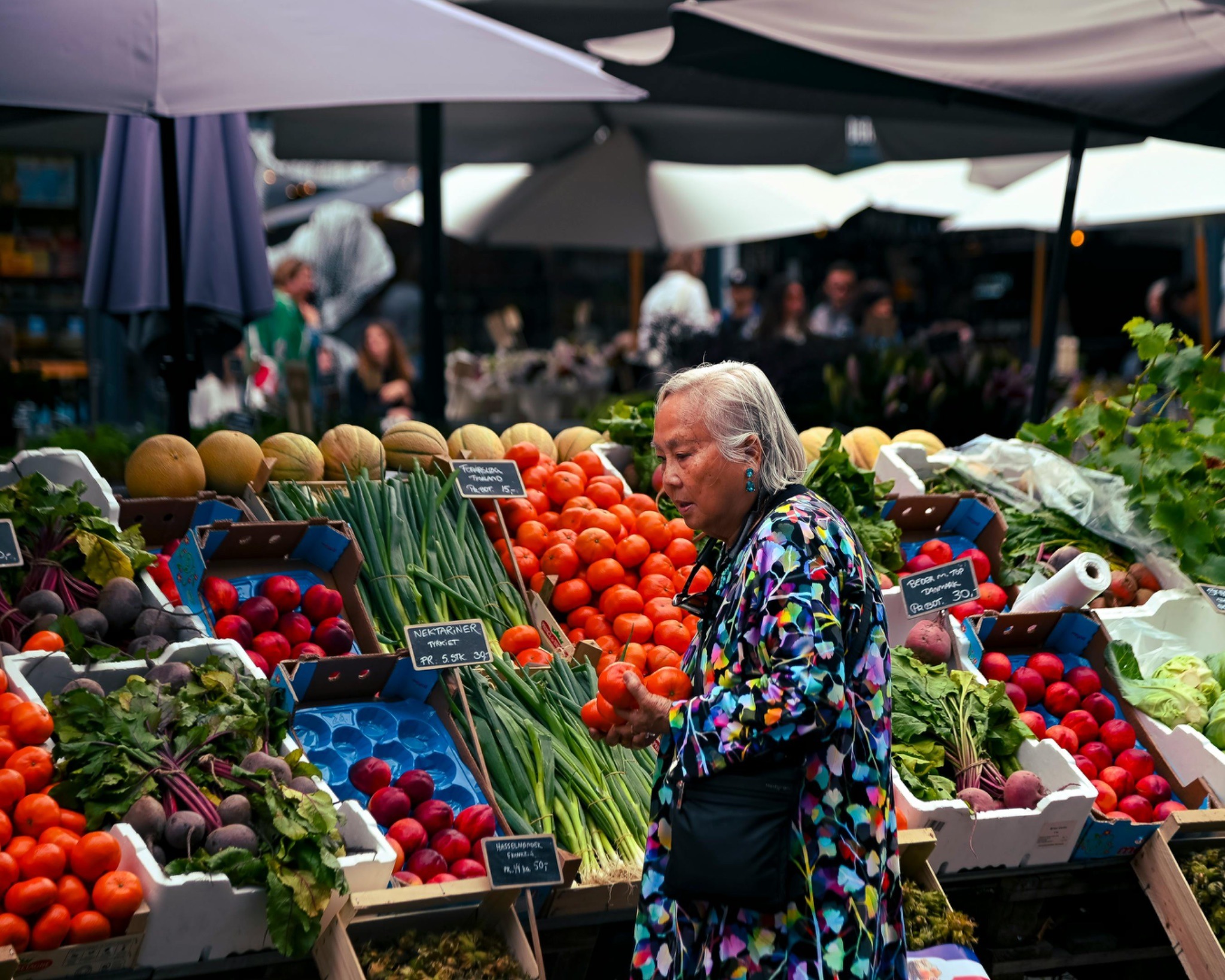 Source: https://www.pexels.com/uk-ua/photo/30977296/