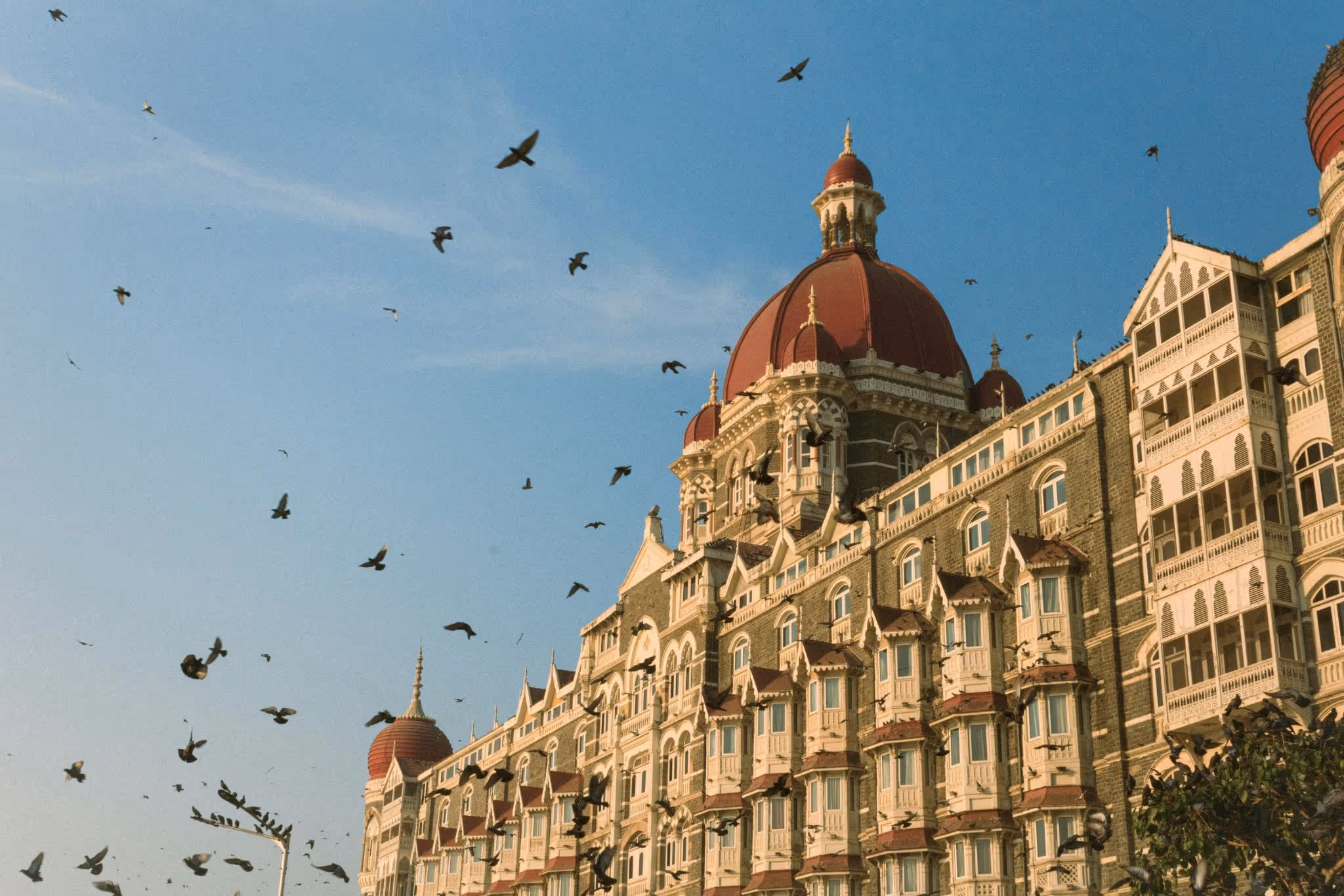 source: https://unsplash.com/photos/a-flock-of-birds-flying-over-a-large-building-YCEuGBLg0QU