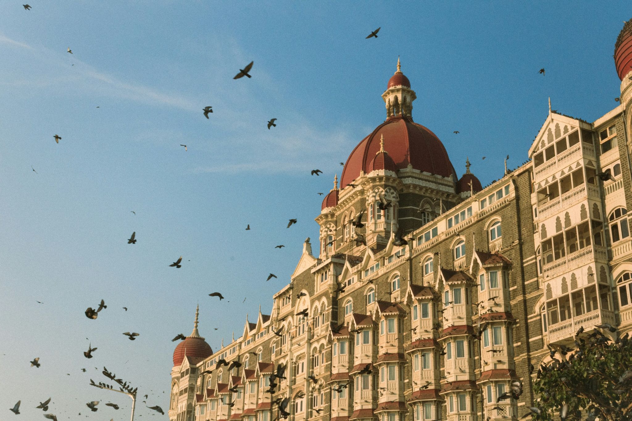 source: https://unsplash.com/photos/a-flock-of-birds-flying-over-a-large-building-YCEuGBLg0QU