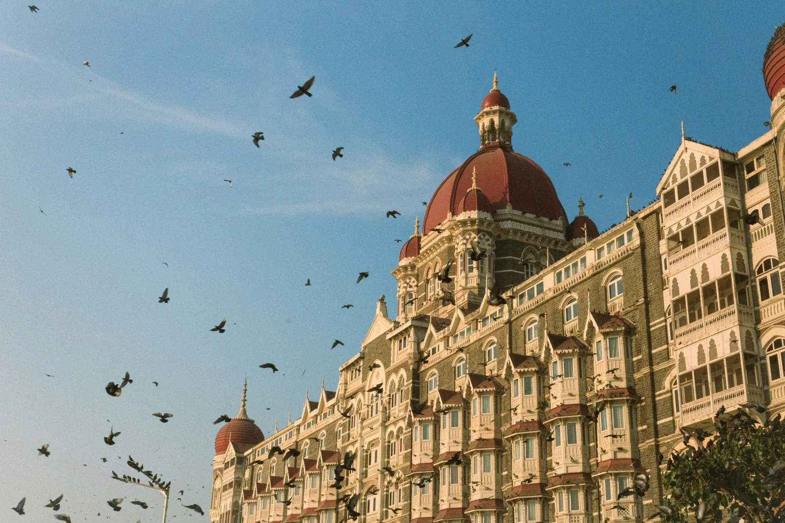 source: https://unsplash.com/photos/a-flock-of-birds-flying-over-a-large-building-YCEuGBLg0QU