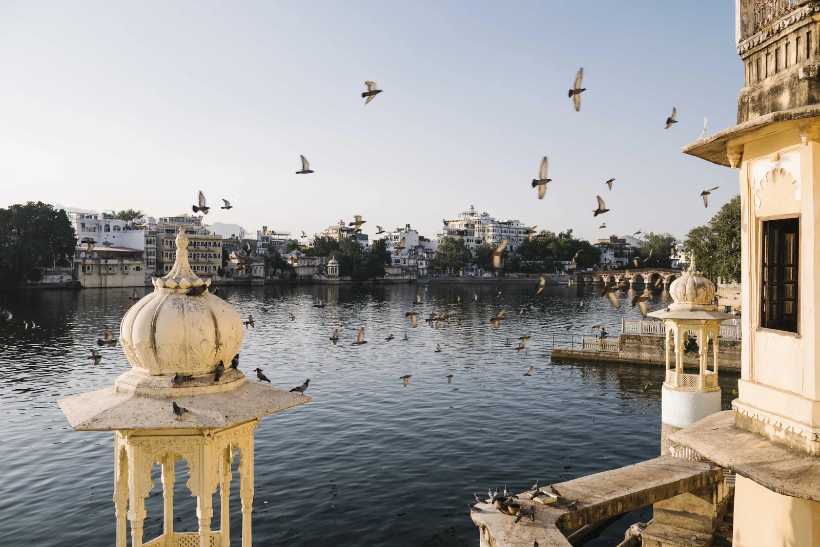 Source: https://www.magnific.com/free-photo/udaipur-city-view-from-hotel-balcony-rajasthan-india_3540099.htm#fromView=search&page=1&position=17&uuid=1376cbf4-fba8-464f-bb9c-803a8db6e0a9&query=india