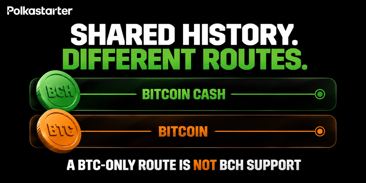 Diagram showing BCH and BTC as different coins with separate deposit routes