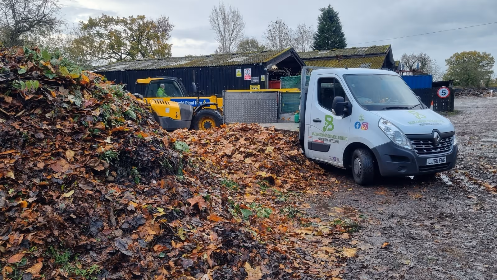 Truck and leaves