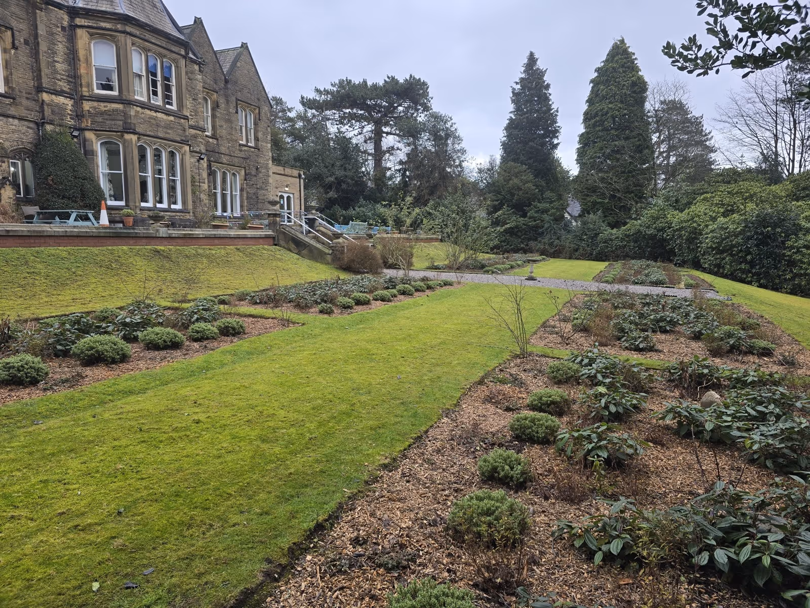 Grass area with planted edges