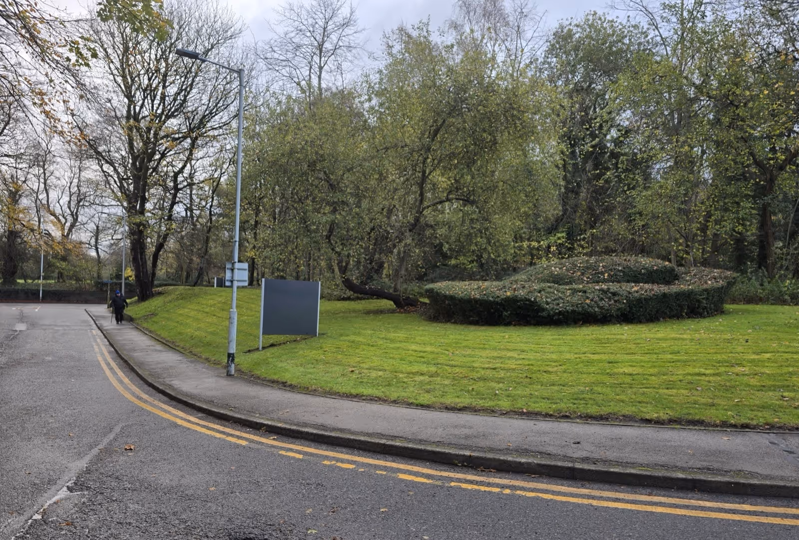 road with green lawn to the side