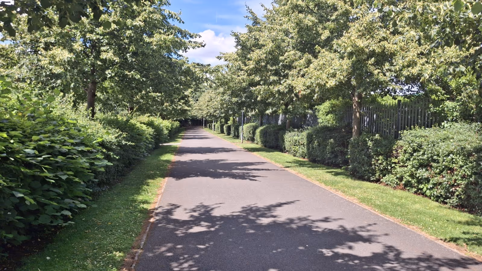 Park