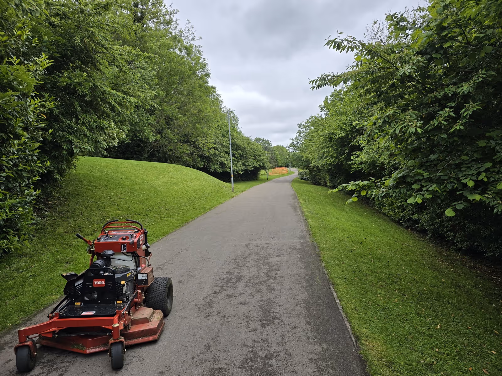 Lawn mower in park