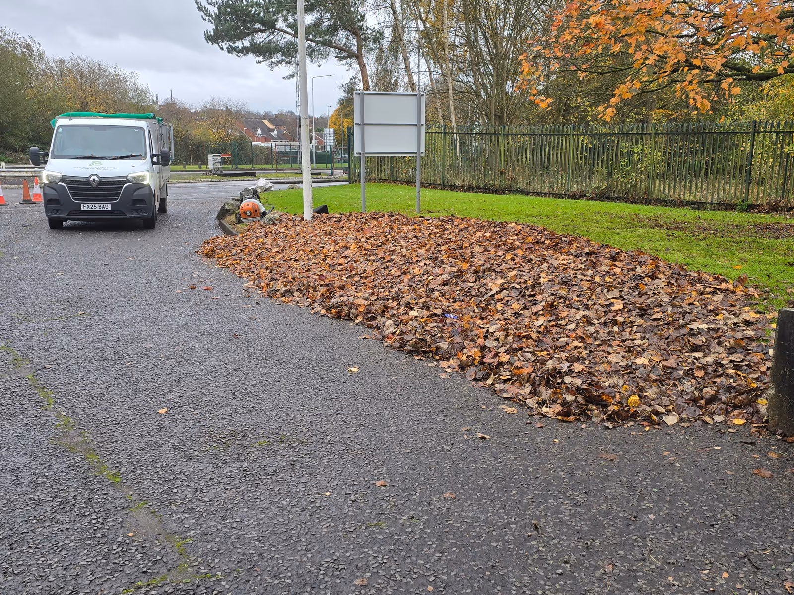 Leaf clearance