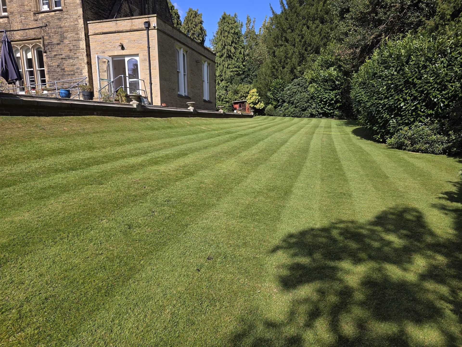 Green lawn with striped mowing pattern beside a stone building and surrounded by trees and bushes.