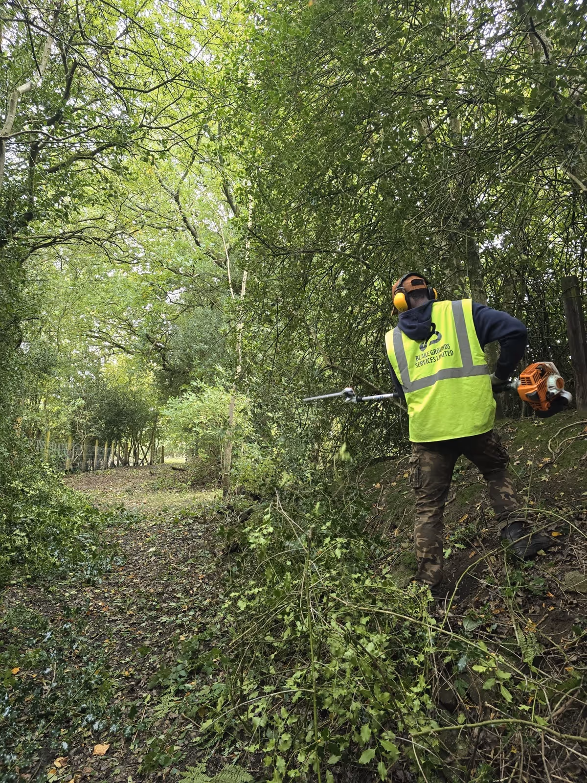 Worker in high-vis vest using a brush cutter to clear dense bushes on a forest slope.
