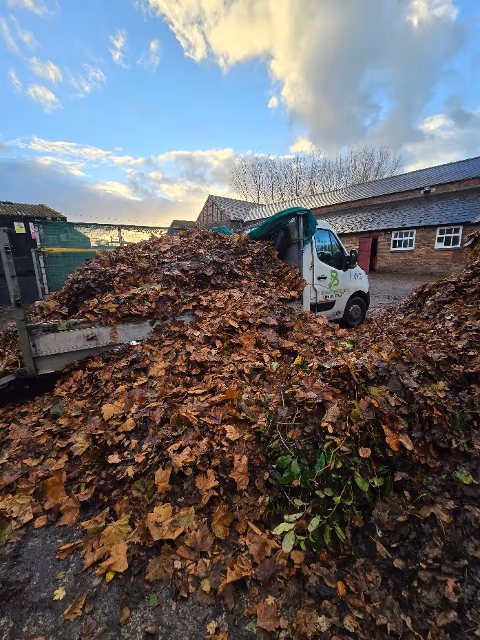 Truck loaded with large piles of brown fallen leaves in a courtyard with buildings under a partly cloudy sky.