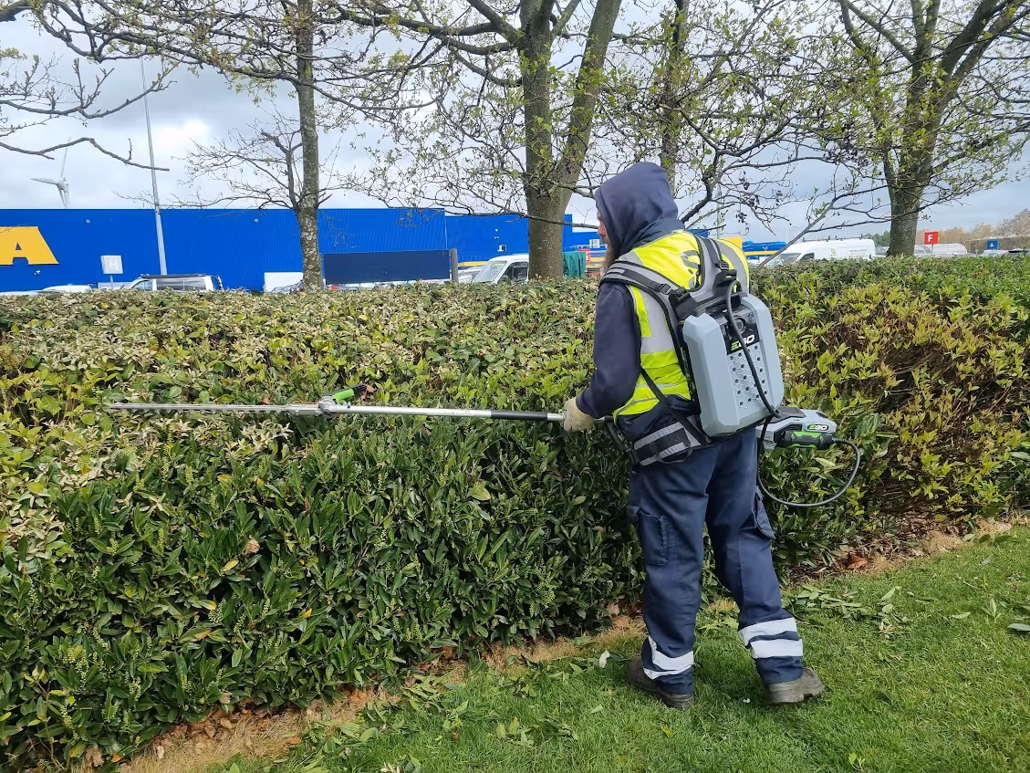 Person wearing a safety vest using a battery-powered hedge trimmer to trim bushes.