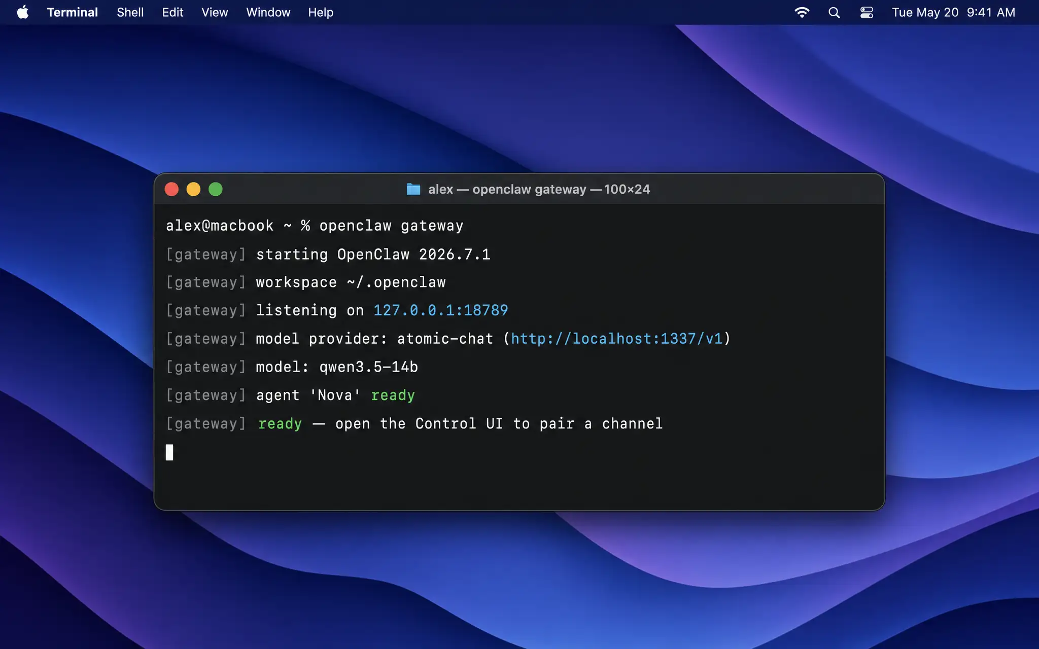 openclaw gateway — running against the local model provider on :18789