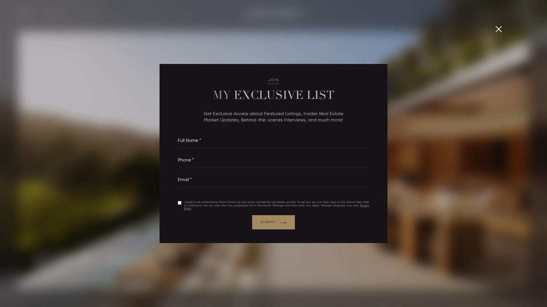 Aaron Kirman real estate website screenshot