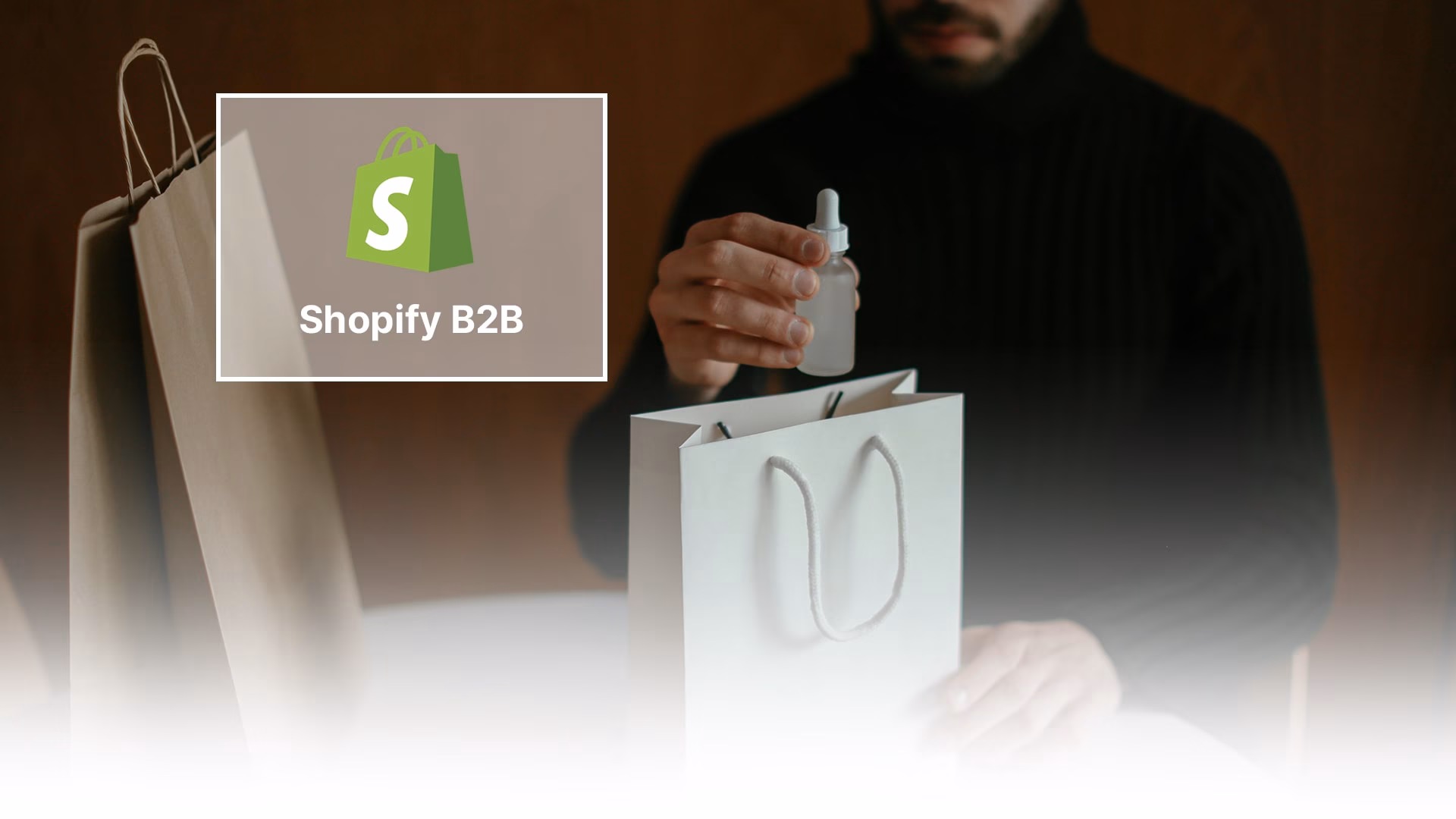 B2B E-Commerce mit Shopify: Digitale Lösungen für Schweizer Unternehmen