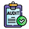 Site Audits