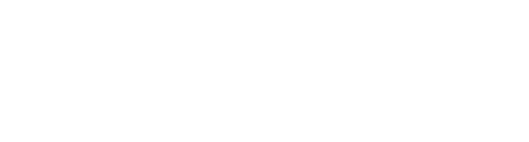 data-optimizer-logo-white