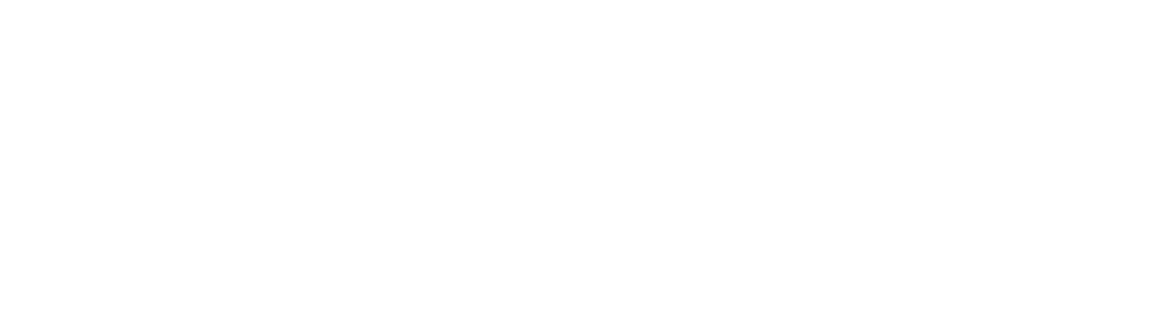 data-optimizer-logo-white de