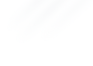 Spot