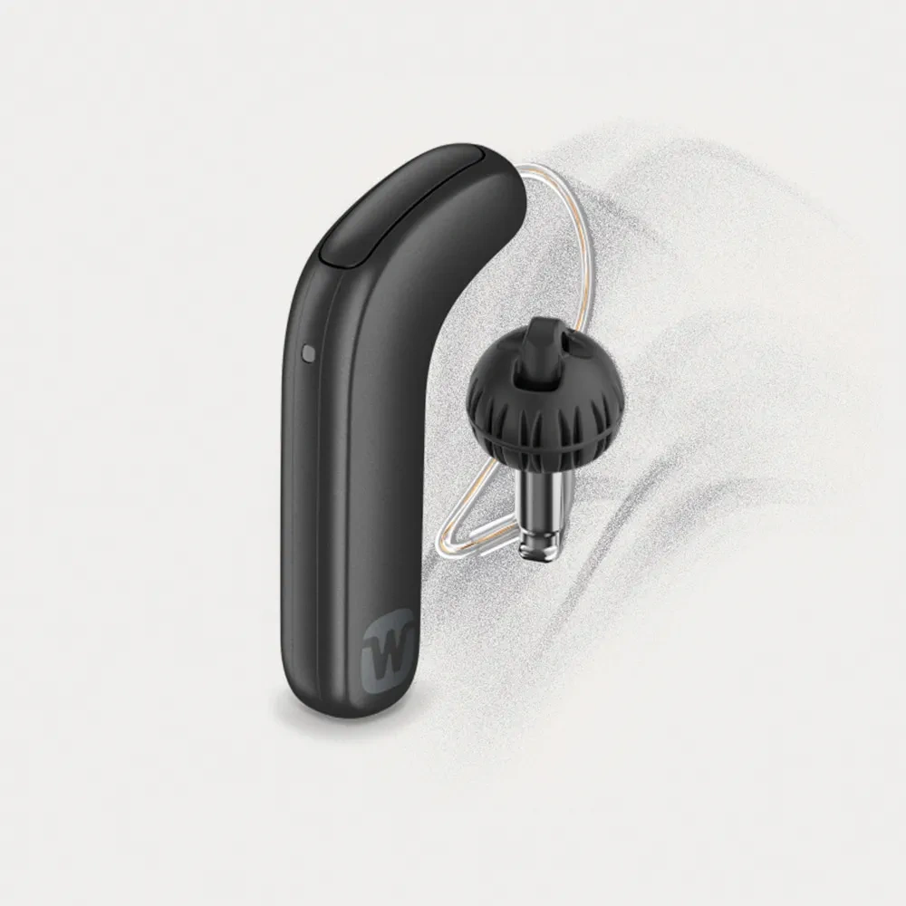 Appareil auditif Widex SmartRIC