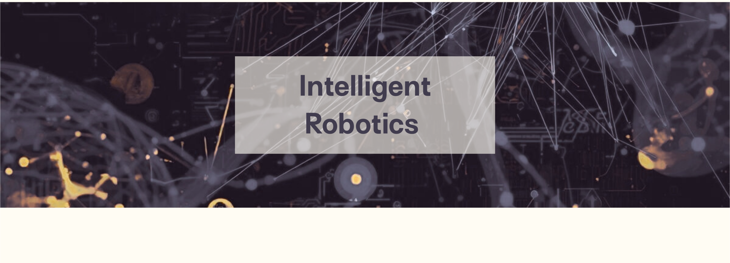 Intelligent Robotics