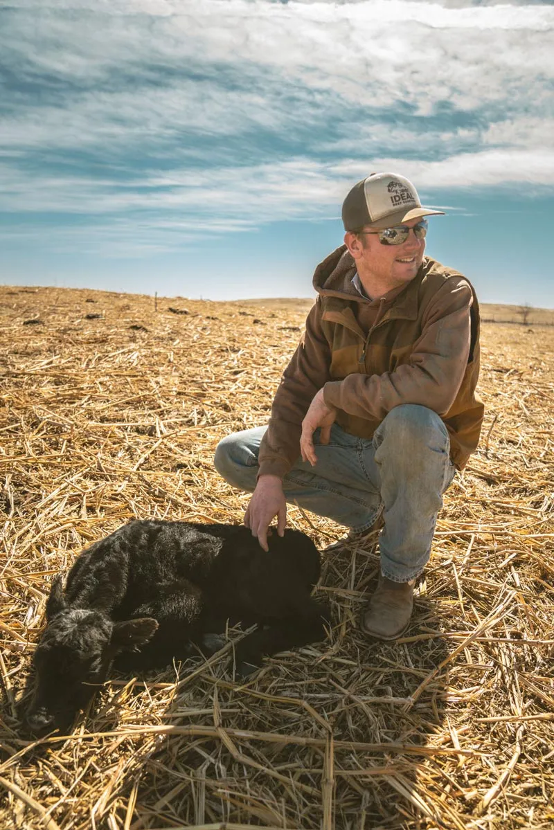 rancher crouching next to calf in field