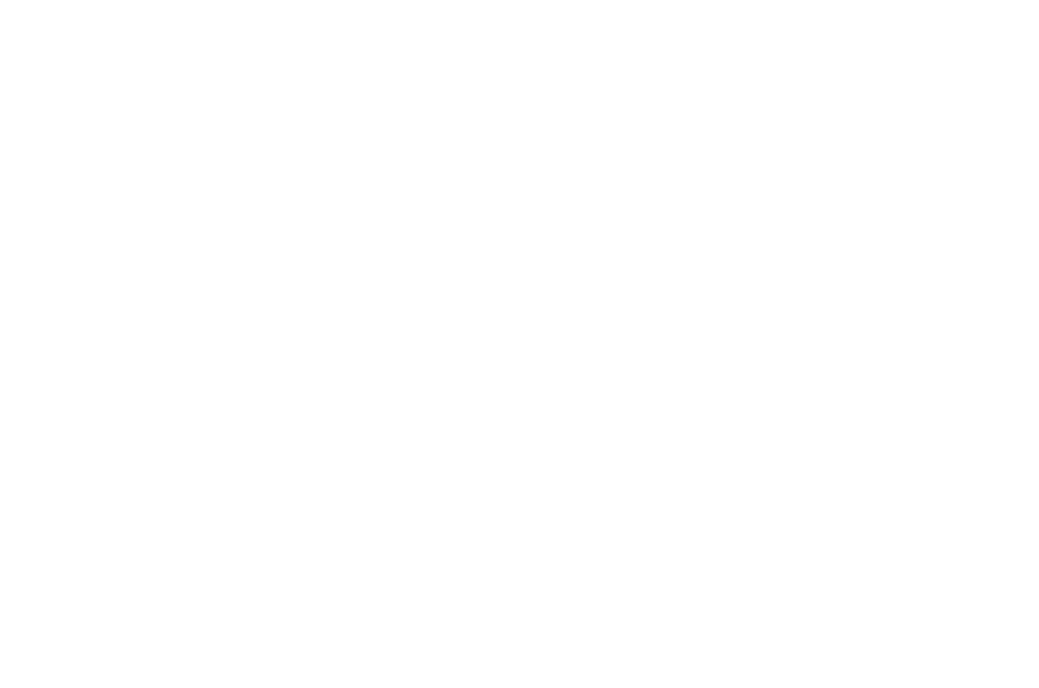 Nokia Logo