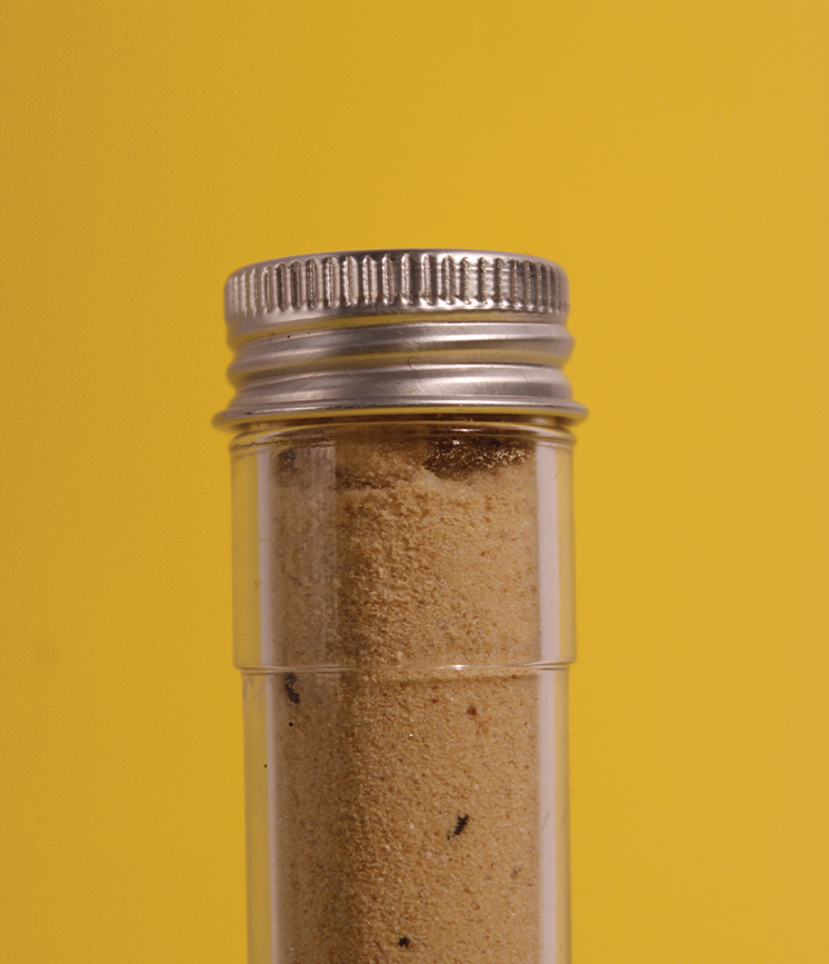 Close-up shot of the spice's container against a yellow background.