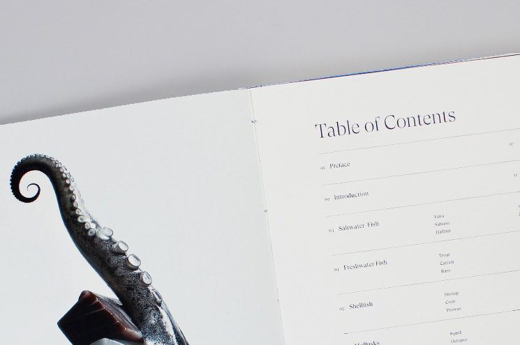 Close-up shot of the table of contents on a light grey background.