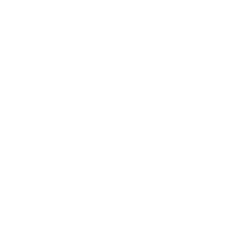 Logo 8
