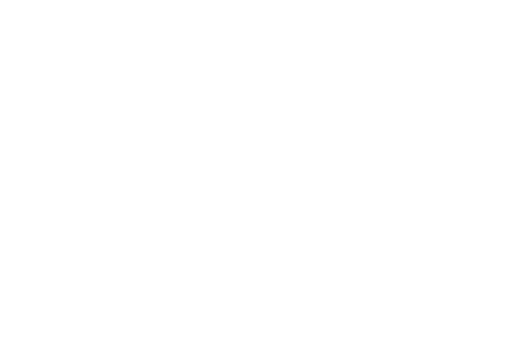 Logo 9
