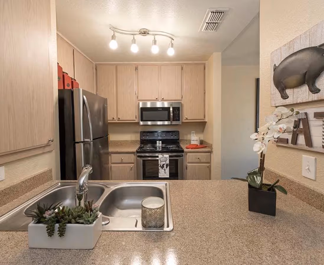 Living room and kitchen