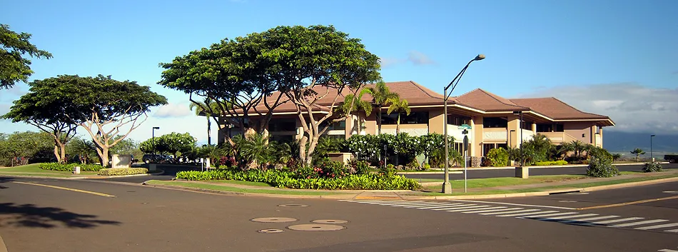 Modern tan building with umbrella trees, tropical landscaping, and wide paved street