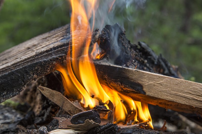 Campfire in Temagami wilderness