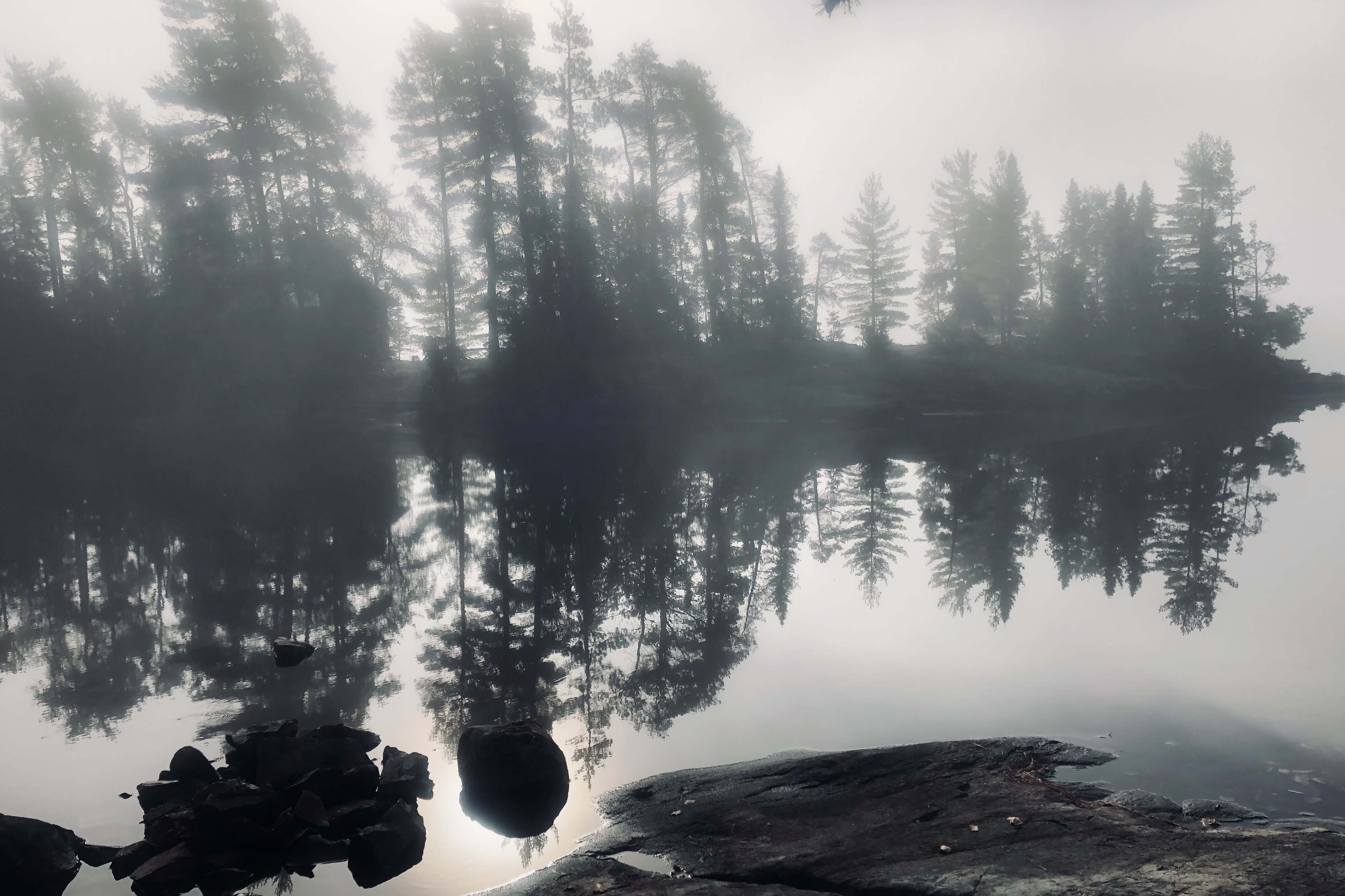 Misty forest reflected in a still Temagami lake at dawn