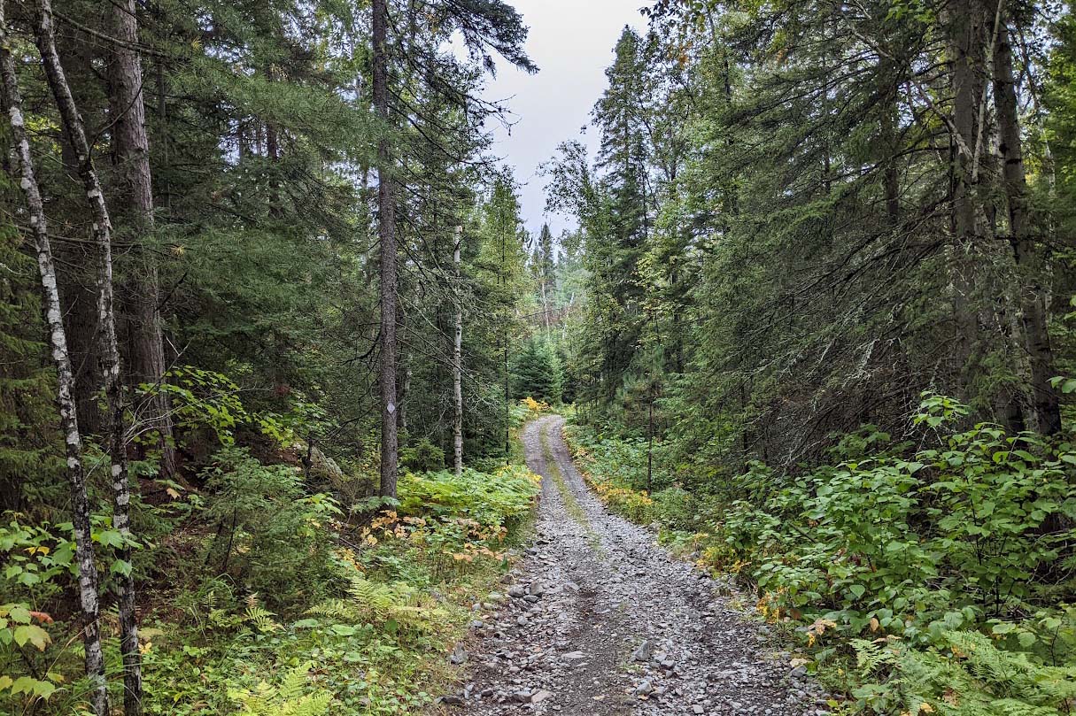 Hikers on rocky Temagami shoreline trails