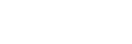 'tvSyd' logo