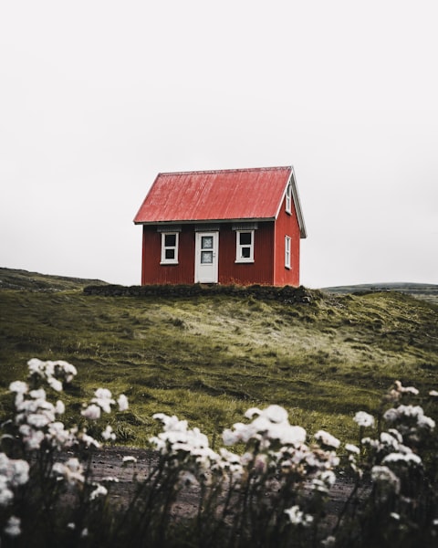Petite maison rouge isolée sur une colline verte avec des fleurs blanches au premier plan.