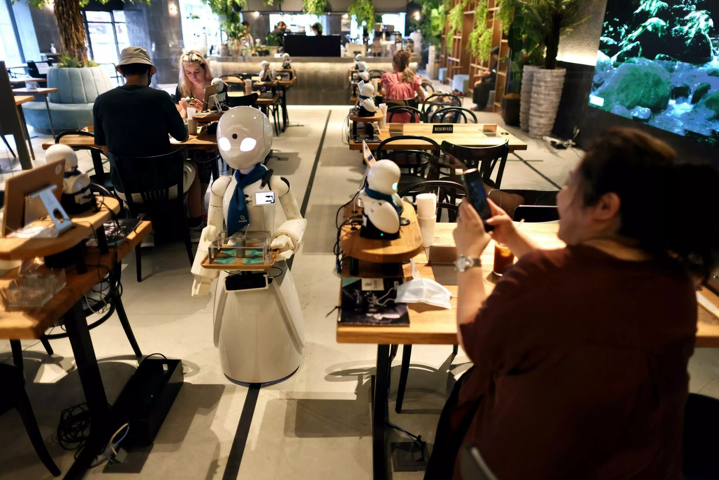 Dawn Café — robots Orihime contrôlés à distance