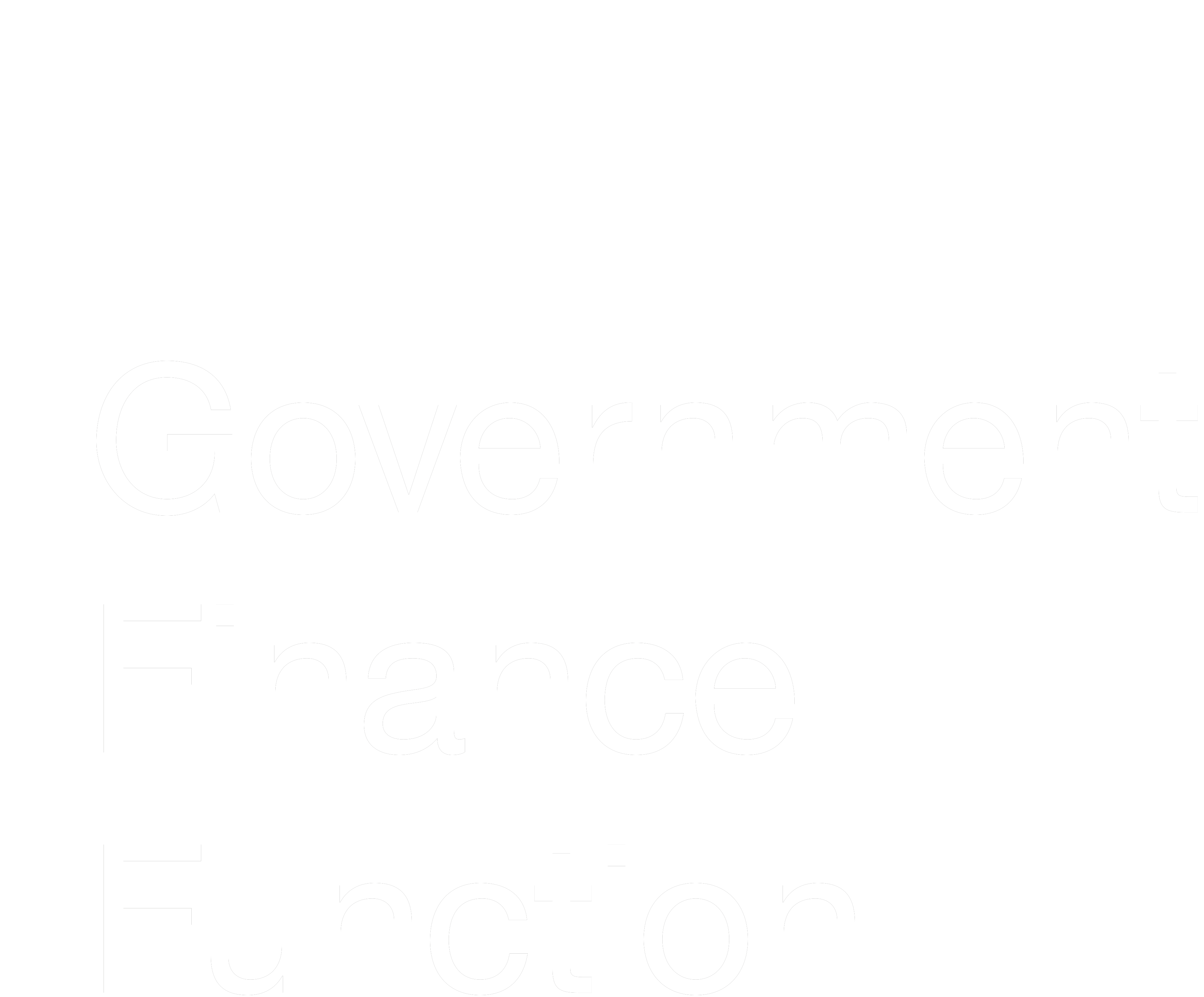 Government Finance Function
