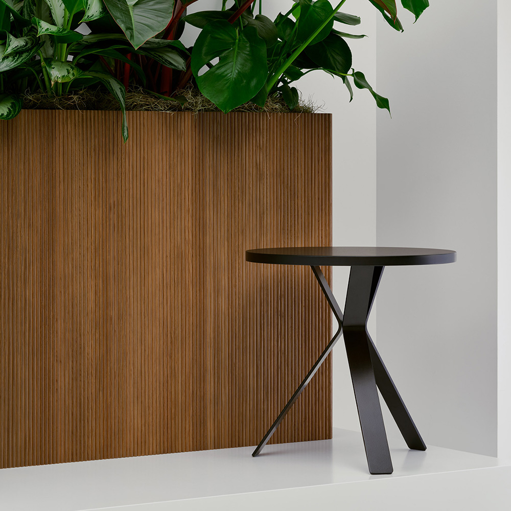 Small table next to plants