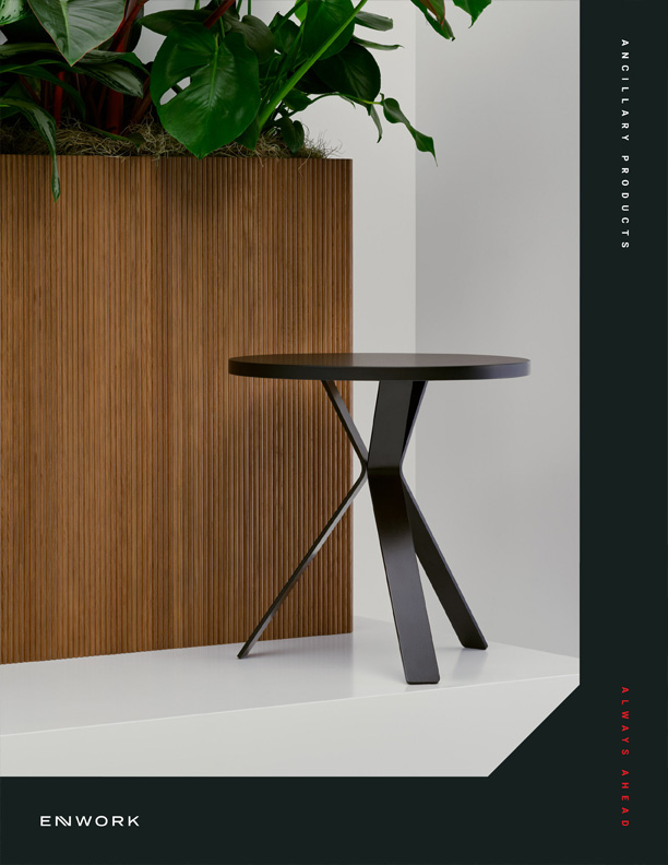 Ancillary Products Brochure cover.