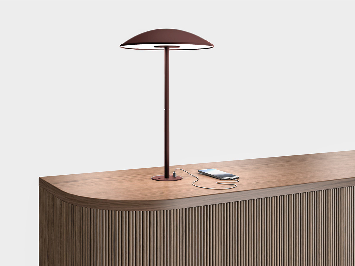 Burgundy accent light with usb cord. 
