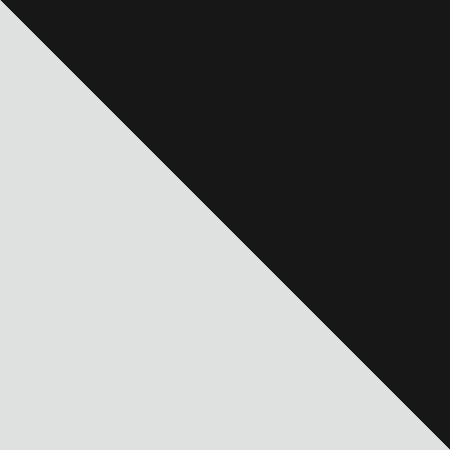 Silver with black interior swatch.