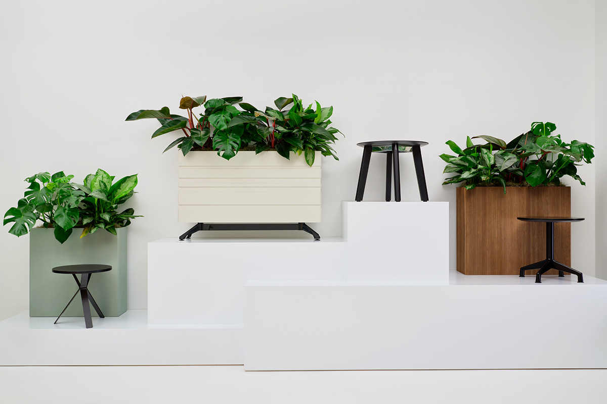 Terra Planters on stage display