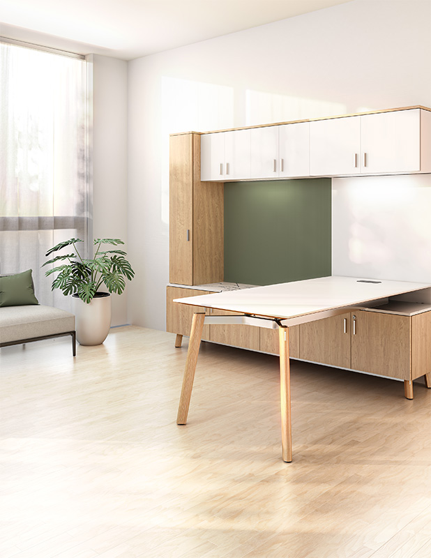 Ligouri Private Office with overlay desk and integrated overhead storage.